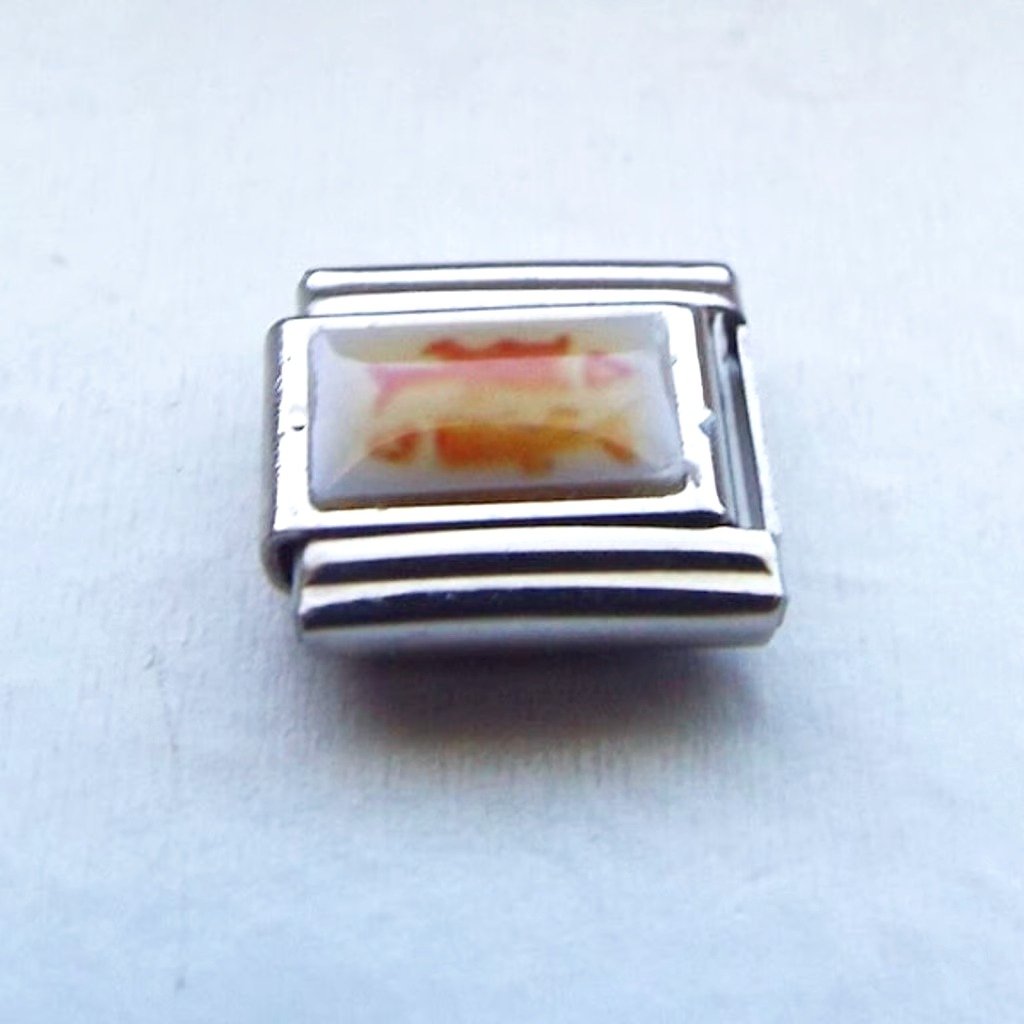 Orange Pisces Fish Photo 9mm Stainless Steel Italian Charm Bracelet Link New